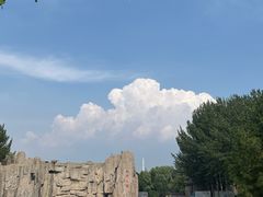 -森林公园(尖草坪区)