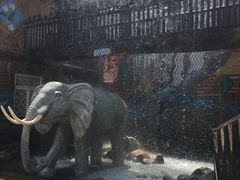 -呀路古热带植物园
