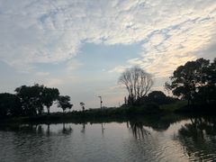 -长广溪湿地公园