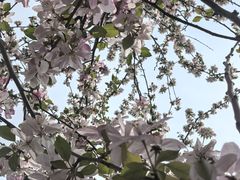 -花博汇(知音花月夜)