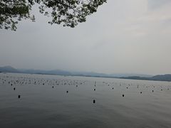 -西湖游船