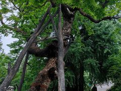 -潭柘寺景区