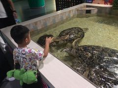 -常州海昌海洋探索馆