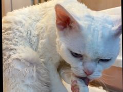 -乐宠宠物店(世纪金源店)