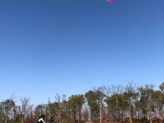 -春花秋色城市公园