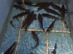 -金明姬铁锅炖(东坝店)