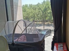 -大鸭梨烤鸭(顺义石园店)