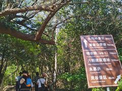 -紫金山山顶公园