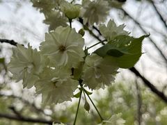 -白塘生态植物园