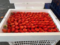 -上海龙吴水胜海发市场