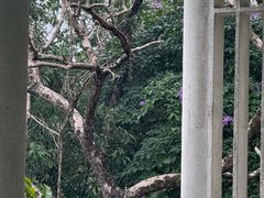 -广东温泉宾馆