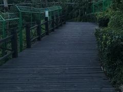 -树山生态村