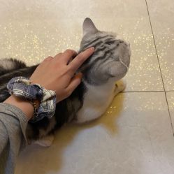 -众刺纹画·纹身·穿孔饰品·海娜定制