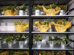 -精绝七日-新疆尼雅遗址数字大展【拉法耶文化艺术中心】