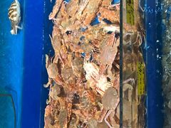 -拉完海鲜大排档(温岭店)