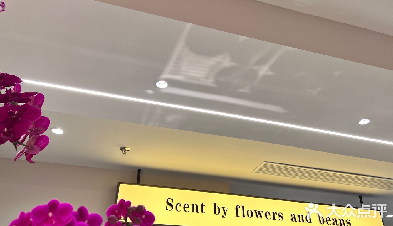 大良首家｜花艺咖啡店M Roser💐☕️