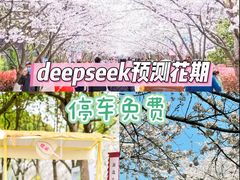 -高东镇樱花园