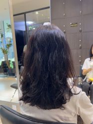 点击看大图 -悦SALON
