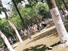 -成都市妇女儿童中心医院(中心院区)