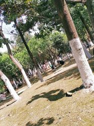 -成都市妇女儿童中心医院(中心院区)