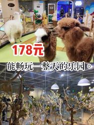 -七巧国萌宠乐园(龙湖天街店)