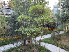 -后海彼岸花园餐厅