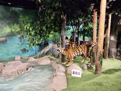 -吉林省自然博物馆
