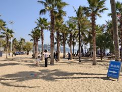 -大梅沙海滨公园