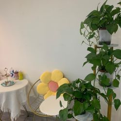 -凡碧诗毛孔收细