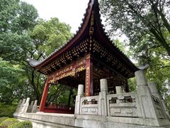 -汇龙潭