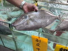 -寻味顺德·南记酒家·传统顺德菜·鱼生(广源路店)