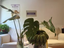 -Dr.林醫生产后修复·配方产康店(南京大厂店)