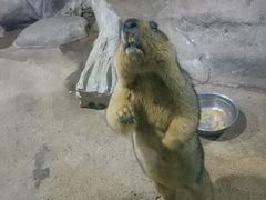 -苏州海洋馆