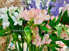 -深圳湾万象城(南山店)