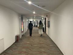 -巨幕影城(光谷广场资本大厦店)