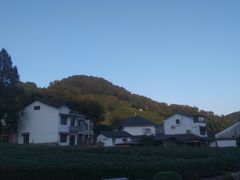 -龙井村
