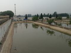 -东方巨龟苑景区