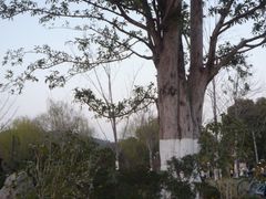 -东湖生态旅游风景区