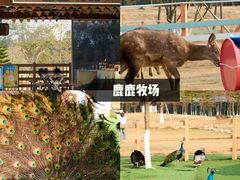 -盈香心动乐园