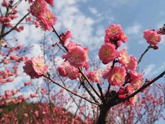 -贵阳市花溪国家城市湿地公园