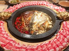 -蜀大侠火锅(四川北路店)
