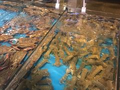 -渔公码头海货全海鲜自助(海滨旅游路店)