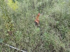 -北仑森林植物园