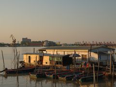 -先锋海鲜市场
