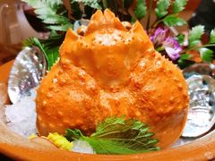活雪蟹-耕海蟹将军(万象城店)