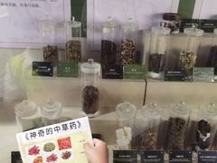 -广东中医药博物馆