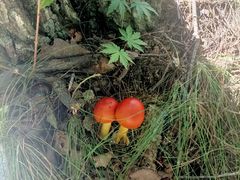 -九鼎铁刹山风景区