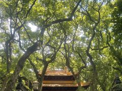 -普陀山慧济禅寺