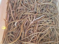 -顺德了能馆(虎门店)