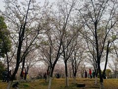 -堤角公园